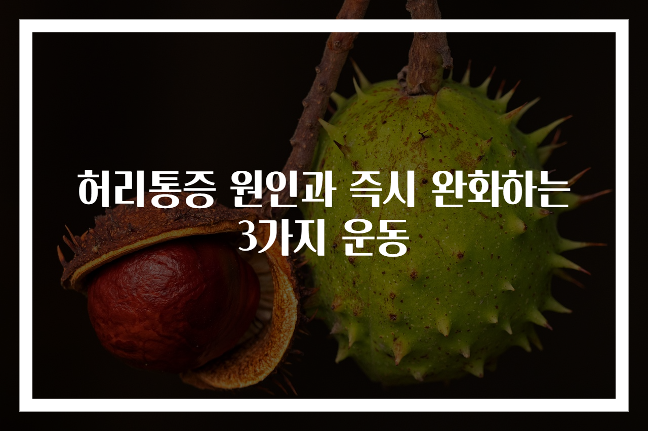 허리통증 원인과 즉시 완화하는 3가지 운동