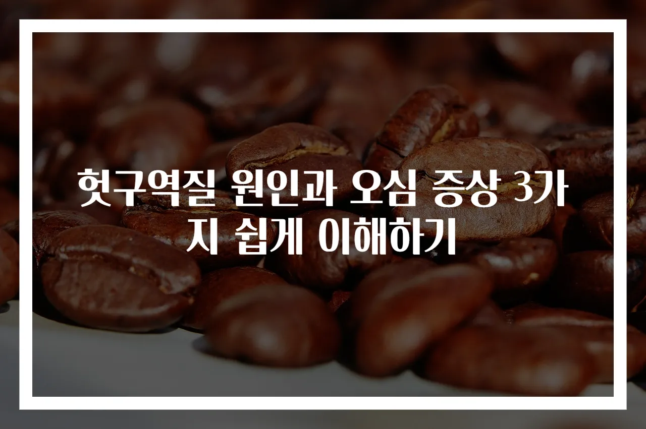 헛구역질 원인과 오심 증상 3가지 쉽게 이해하기
