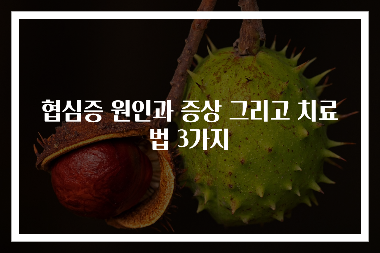 협심증 원인과 증상 그리고 치료법 3가지