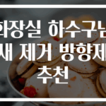 화장실 하수구냄새 제거 방향제 추천