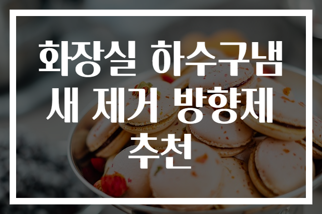 화장실 하수구냄새 제거 방향제 추천
