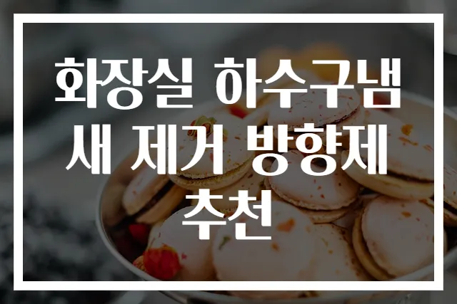 화장실 하수구냄새 제거 방향제 추천