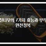 황칠나무의 7가지 효능과 부작용 완전정복