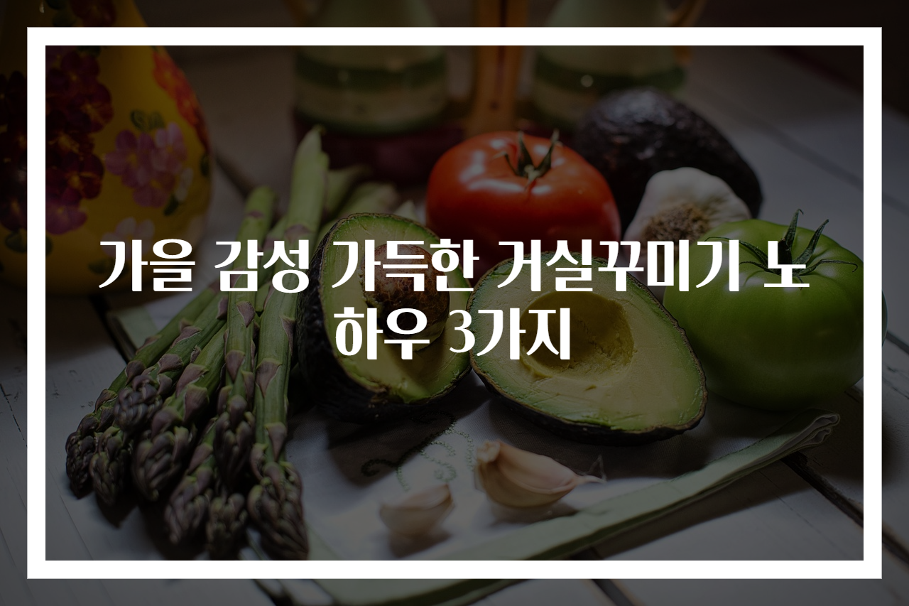 가을 감성 가득한 거실꾸미기 노하우 3가지