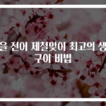 가을 전어 제철맞이 최고의 생선구이 비법