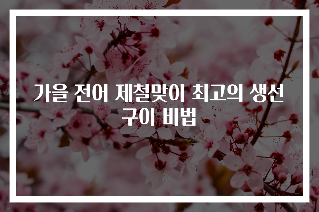 가을 전어 제철맞이 최고의 생선구이 비법