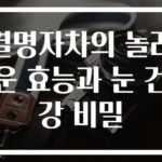 결명자차의 놀라운 효능과 눈 건강 비밀