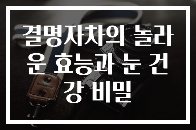 결명자차의 놀라운 효능과 눈 건강 비밀