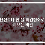 과탄산소다 한 달 배관청소로 효과 보는 비결