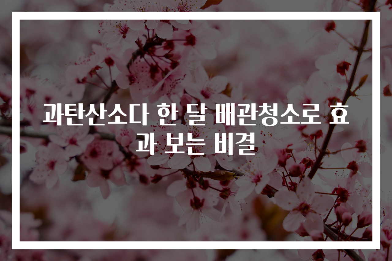 과탄산소다 한 달 배관청소로 효과 보는 비결