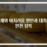 급체와 어지러움 원인과 대처법 완전 정복