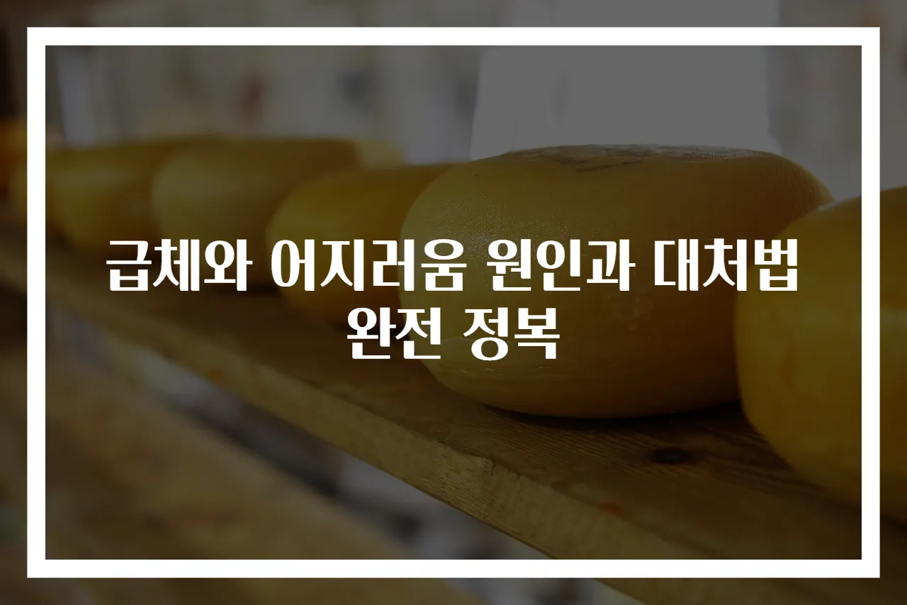 급체와 어지러움 원인과 대처법 완전 정복