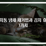 김치통 냄새 제거법과 김치 효능 3가지