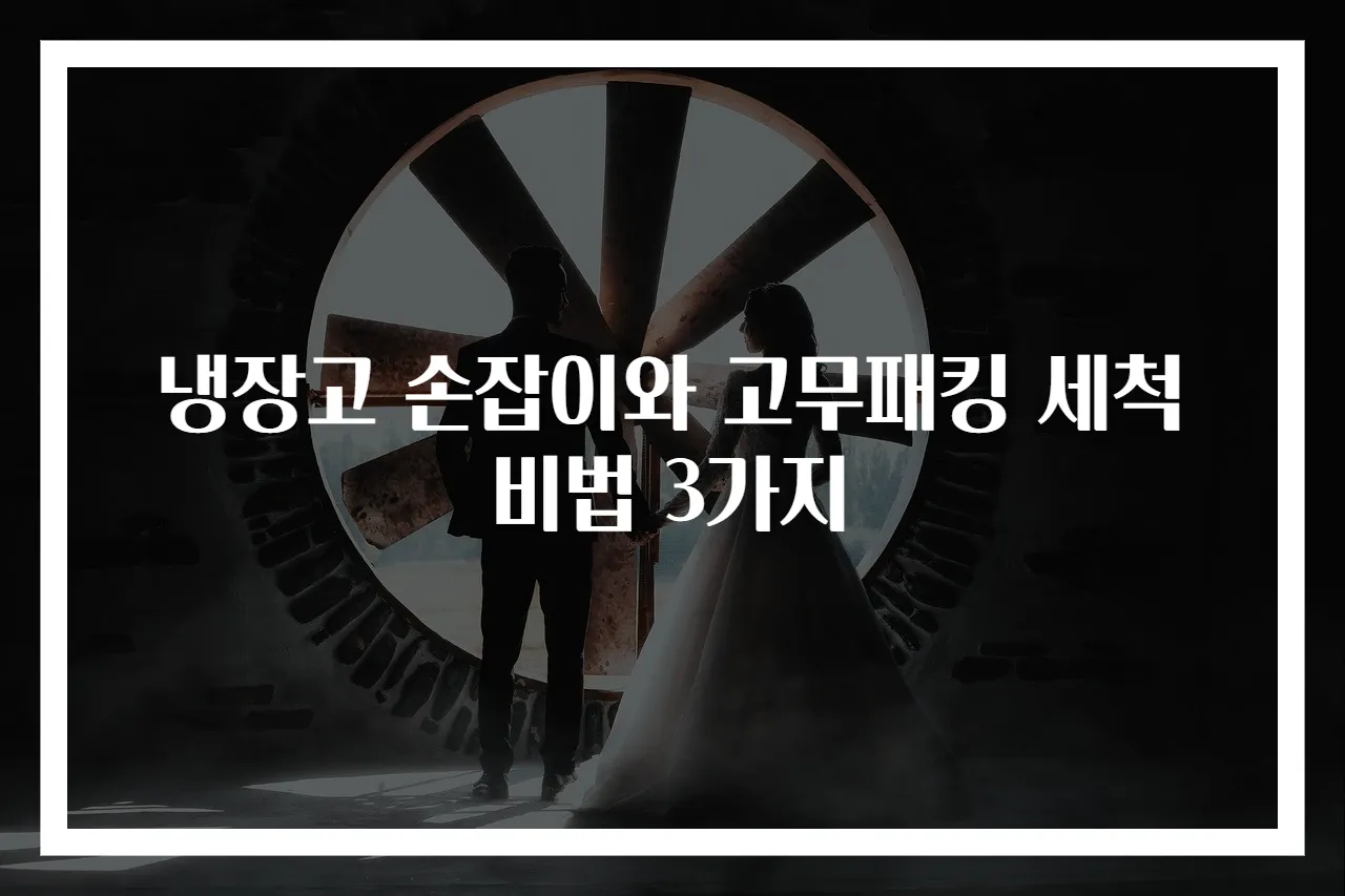 냉장고 손잡이와 고무패킹 세척 비법 3가지