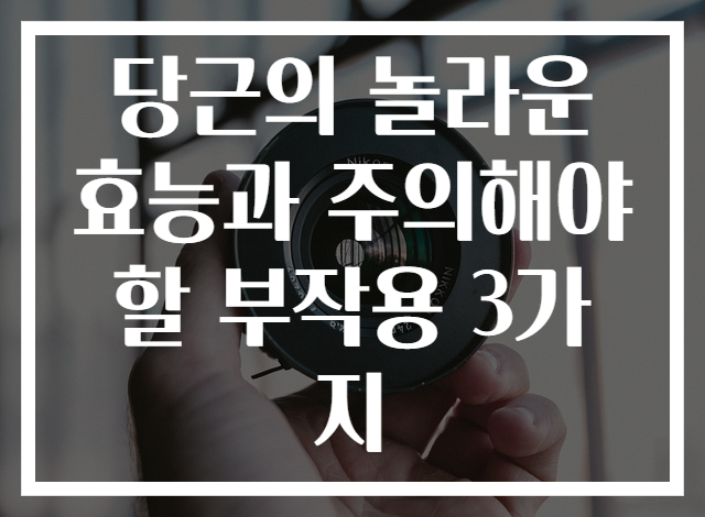 당근의 놀라운 효능과 주의해야 할 부작용 3가지