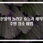 레몬물의 놀라운 효능과 세척법 주방 청소 비법