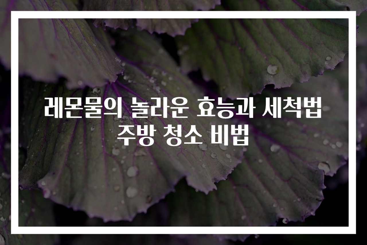 레몬물의 놀라운 효능과 세척법 주방 청소 비법