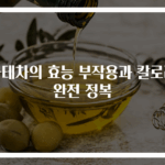 마테차의 효능 부작용과 칼로리 완전 정복