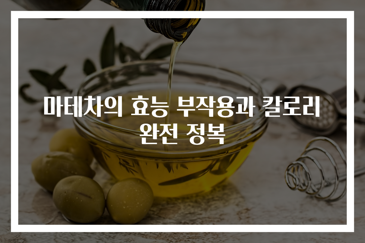 마테차의 효능 부작용과 칼로리 완전 정복