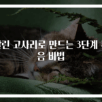 말린 고사리로 만드는 3단계 볶음 비법