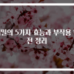 메밀의 5가지 효능과 부작용 완전 정리