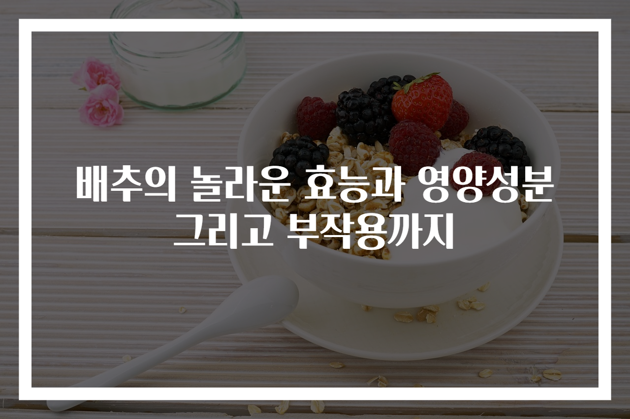 배추의 놀라운 효능과 영양성분 그리고 부작용까지