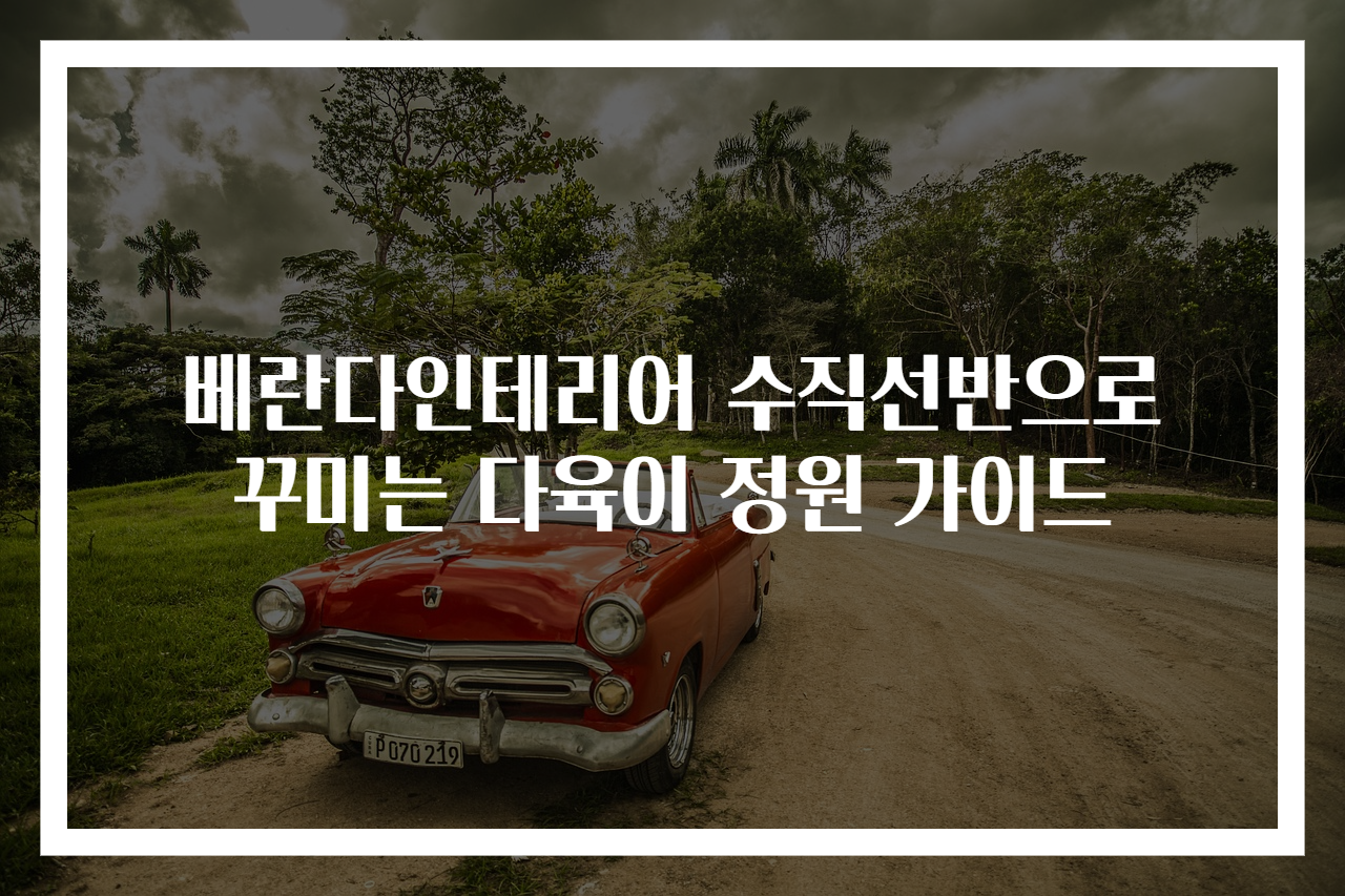 베란다인테리어 수직선반으로 꾸미는 다육이 정원 가이드