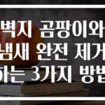 벽지 곰팡이와 냄새 완전 제거하는 3가지 방법