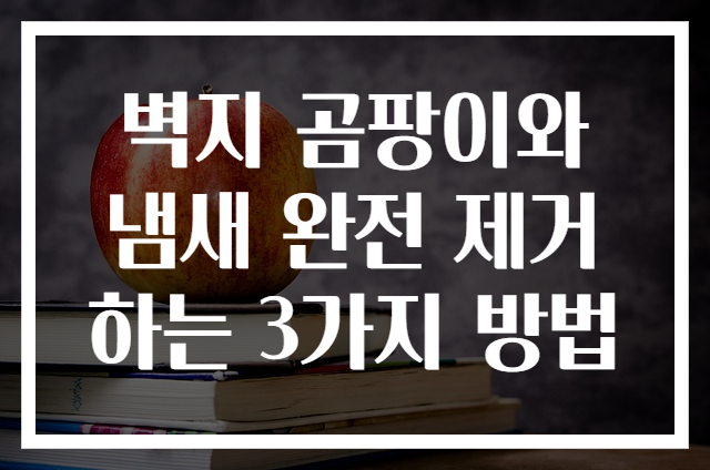 벽지 곰팡이와 냄새 완전 제거하는 3가지 방법