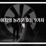 보이차의 놀라운 효능 9가지 공개