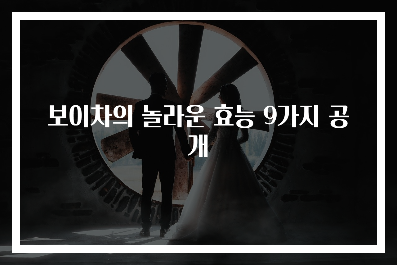 보이차의 놀라운 효능 9가지 공개