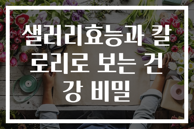 샐러리효능과 칼로리로 보는 건강 비밀