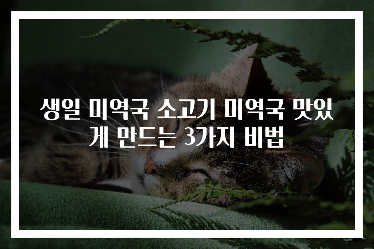 생일 미역국 소고기 미역국 맛있게 만드는 3가지 비법