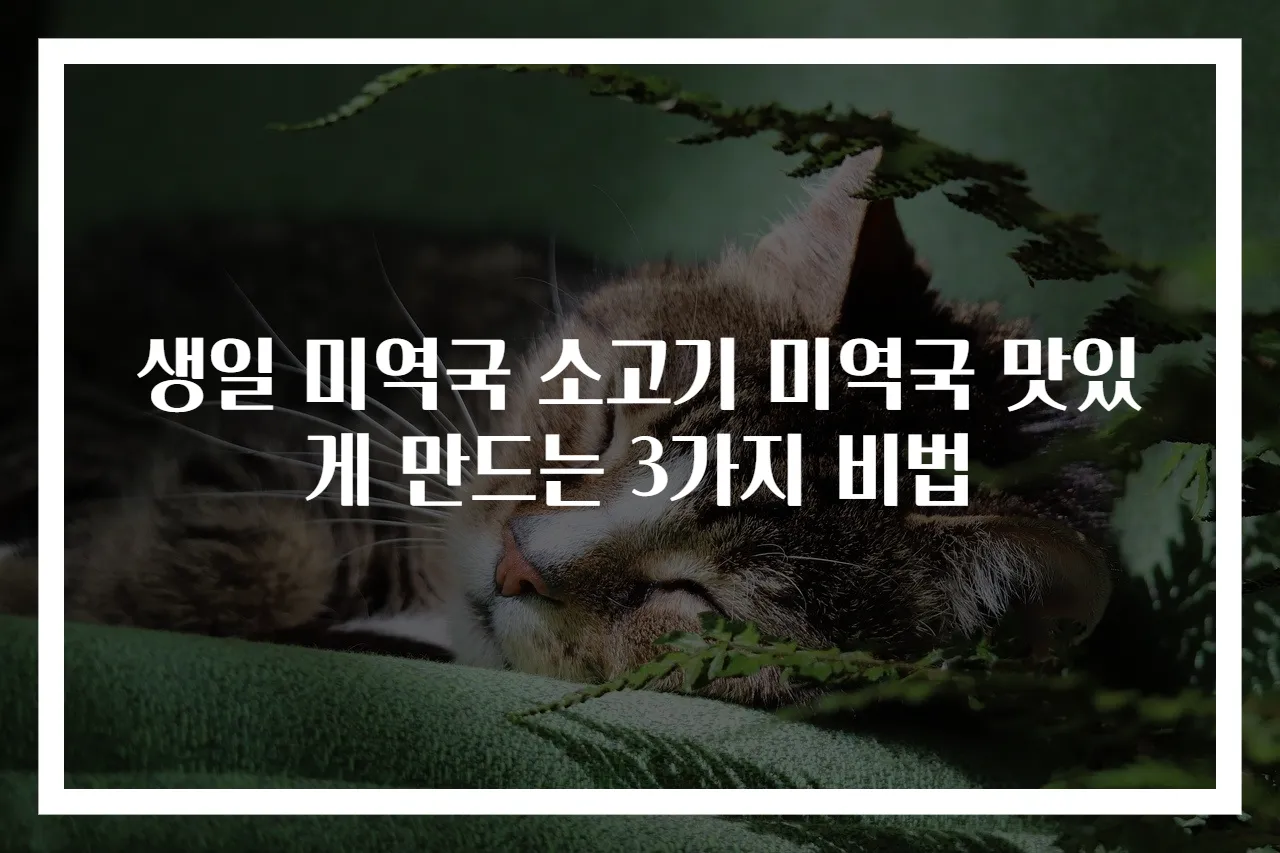 생일 미역국 소고기 미역국 맛있게 만드는 3가지 비법