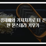 수경재배와 가지치기로 더 건강한 몬스테라 키우기