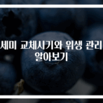 수세미 교체시기와 위생 관리법 알아보기