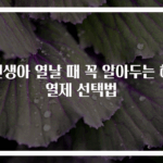 신생아 열날 때 꼭 알아두는 해열제 선택법