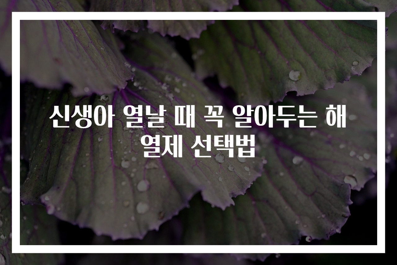 신생아 열날 때 꼭 알아두는 해열제 선택법