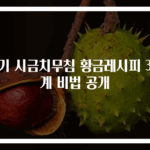 아기 시금치무침 황금레시피 3단계 비법 공개