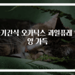 아기간식 오가닉스 과일퓨레 영양 가득