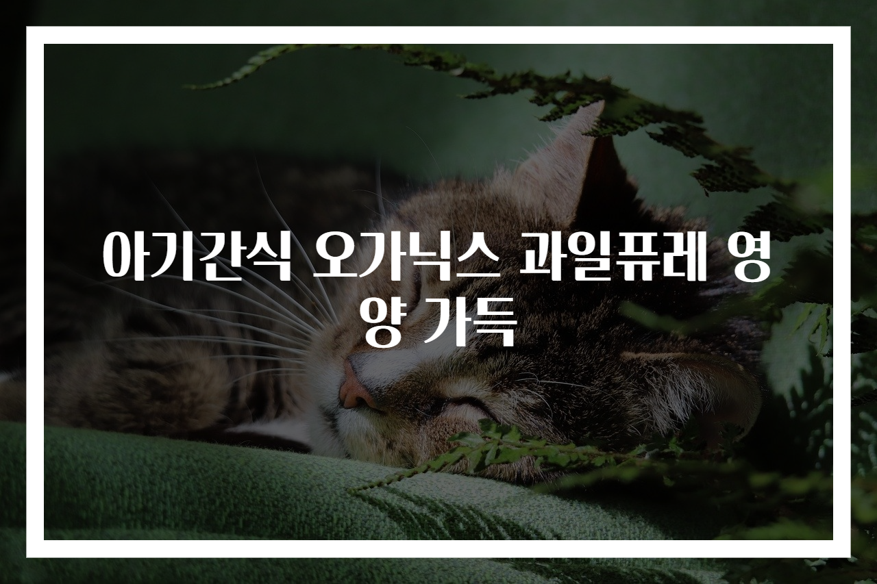 아기간식 오가닉스 과일퓨레 영양 가득