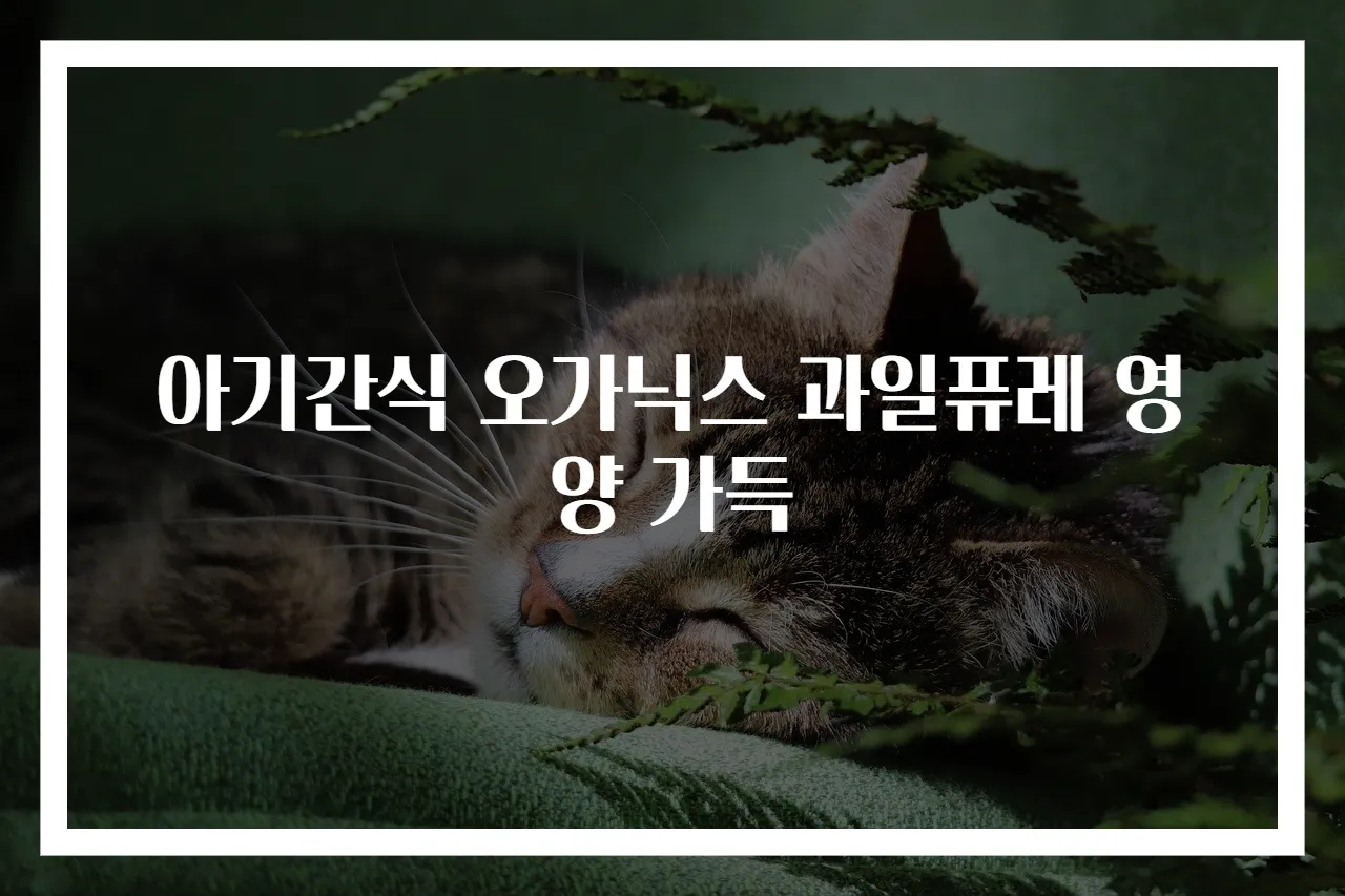 아기간식 오가닉스 과일퓨레 영양 가득