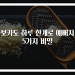 아보카도 하루 한개로 예뻐지는 5가지 비밀