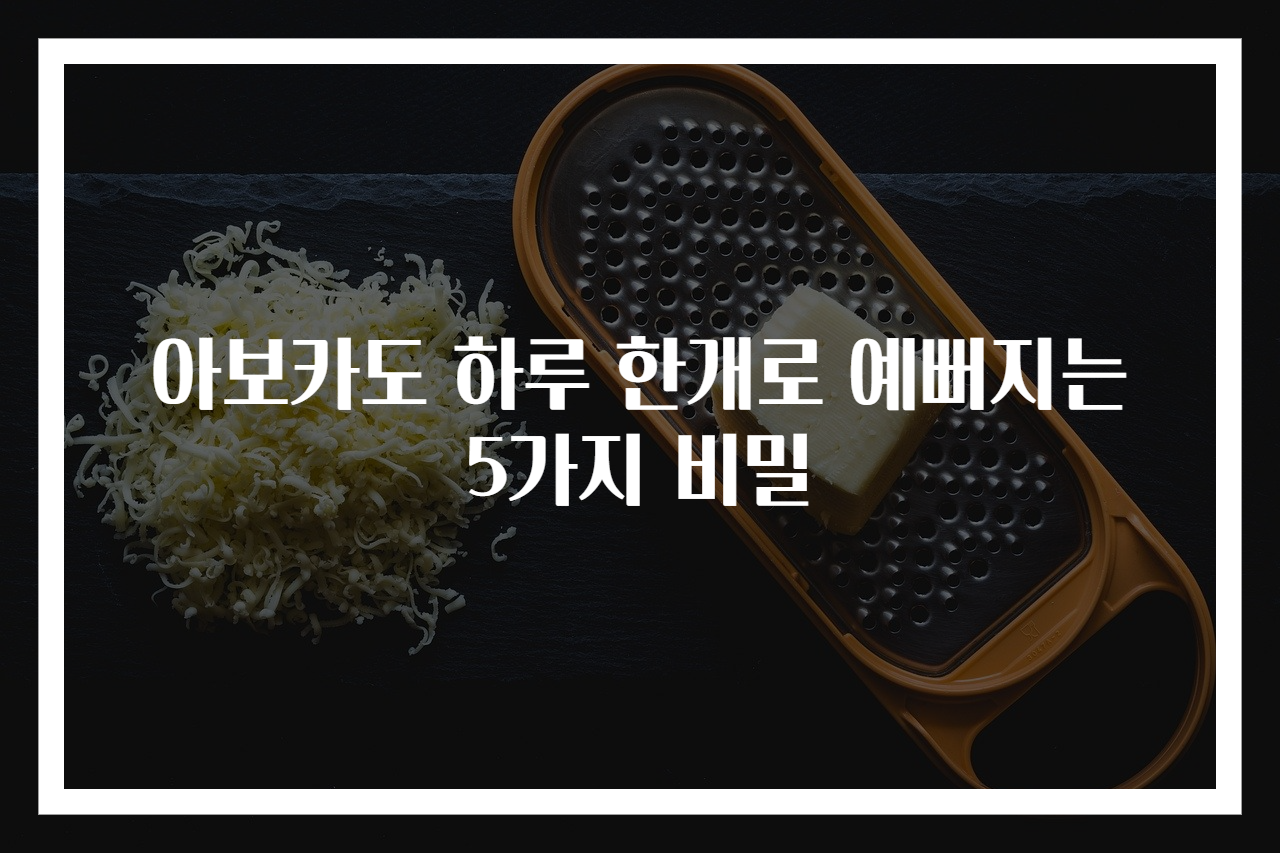 아보카도 하루 한개로 예뻐지는 5가지 비밀