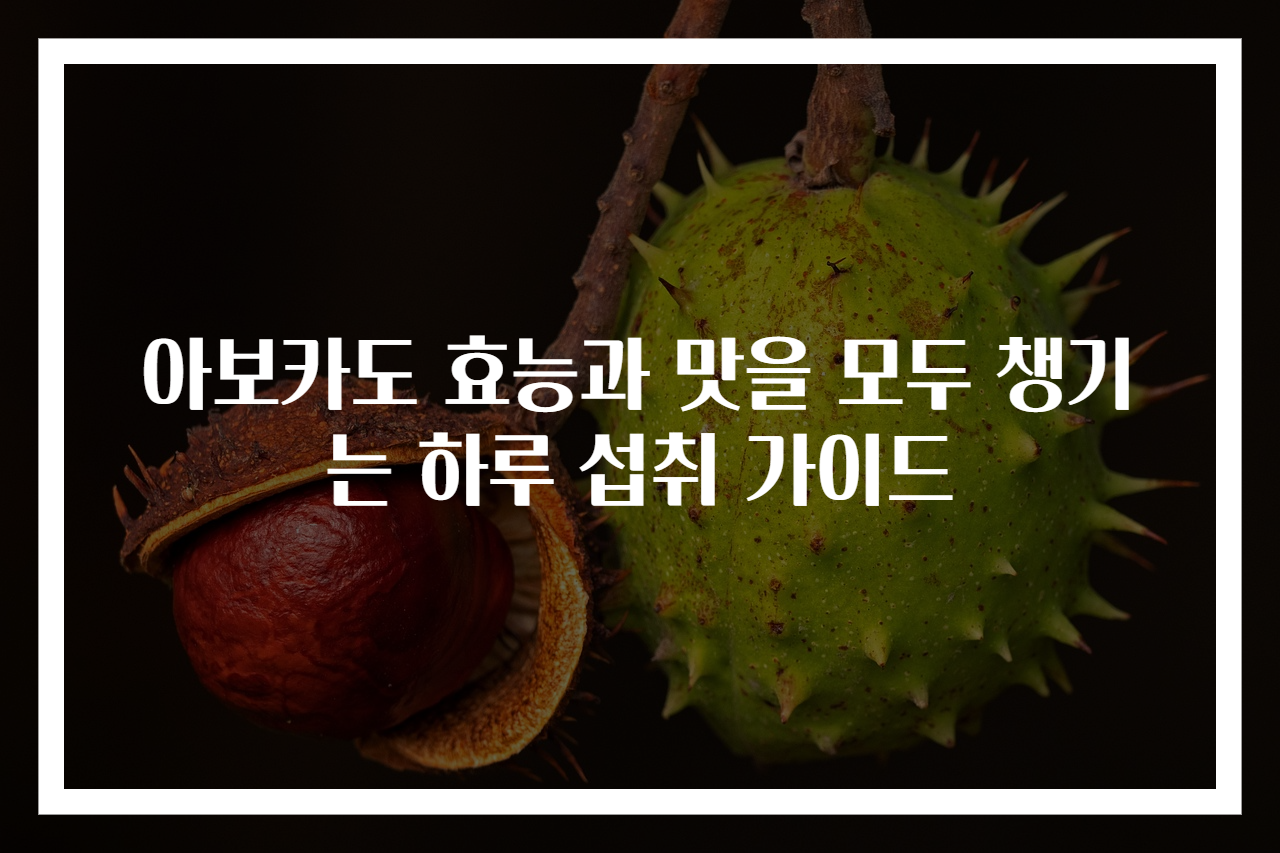 아보카도 효능과 맛을 모두 챙기는 하루 섭취 가이드