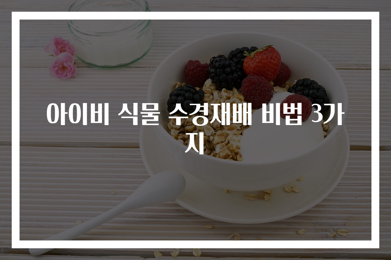 아이비 식물 수경재배 비법 3가지