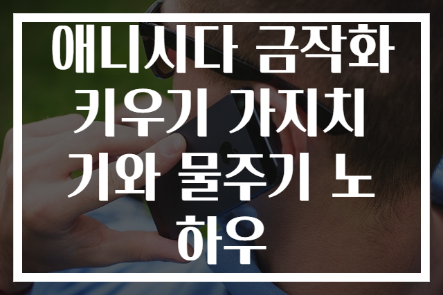 애니시다 금작화 키우기 가지치기와 물주기 노하우