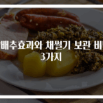 양배추효과와 채썰기 보관 비법 3가지