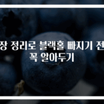 옷장 정리로 블랙홀 빠지기 전에 꼭 알아두기