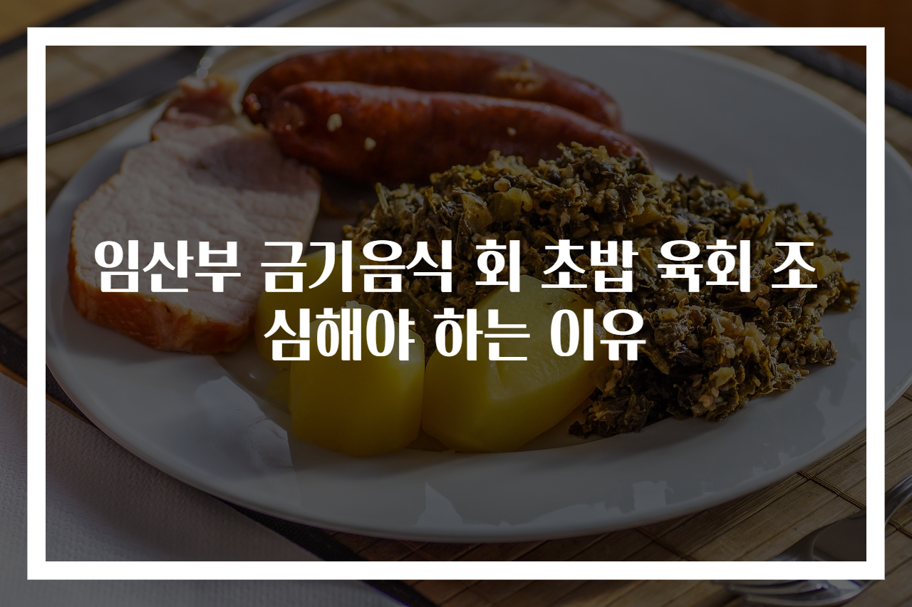 임산부 금기음식 회 초밥 육회 조심해야 하는 이유